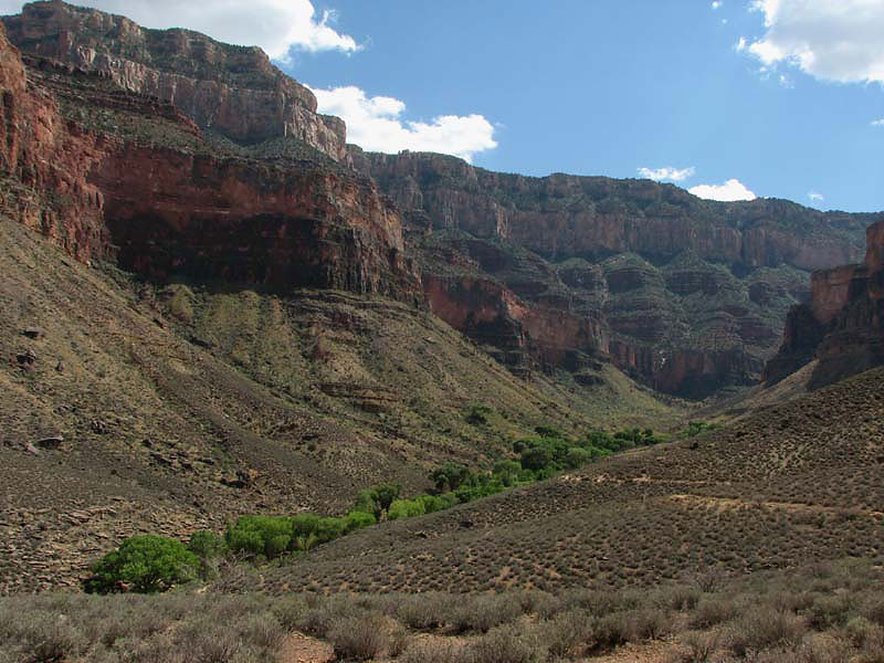 Grand Canyon - Indian Gardens